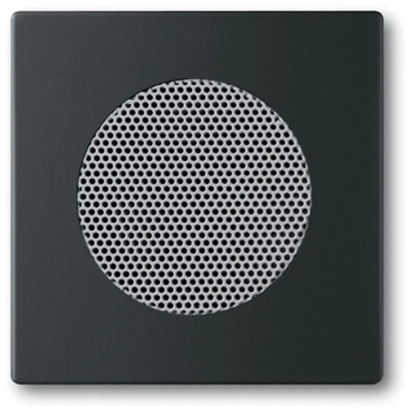 Snabb leverans Centrumplatta